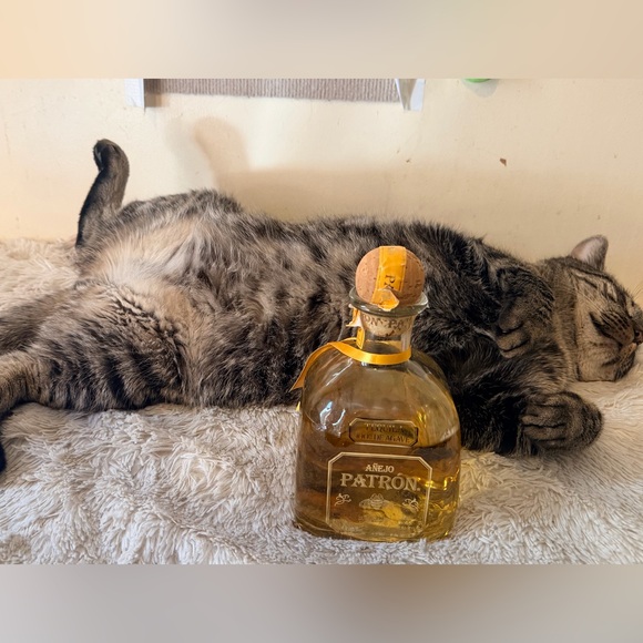 catrachabonita
